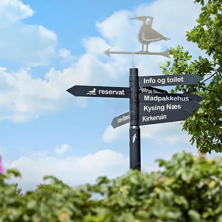 Hébergement de vacances 30193-odder-thorasvej-79