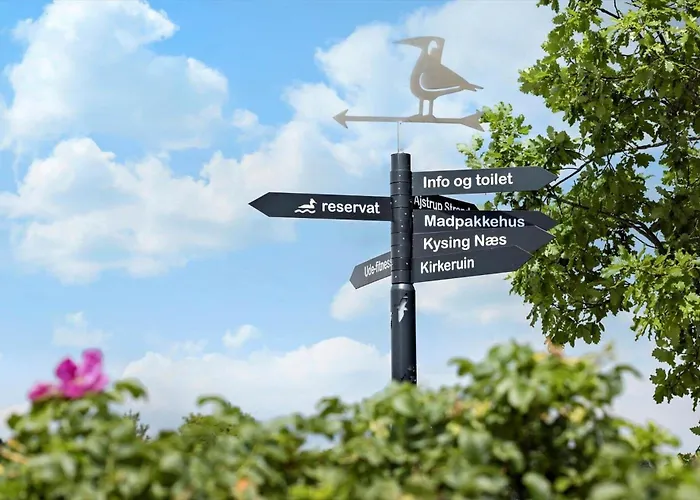 30193-odder-thorasvej-79 別荘